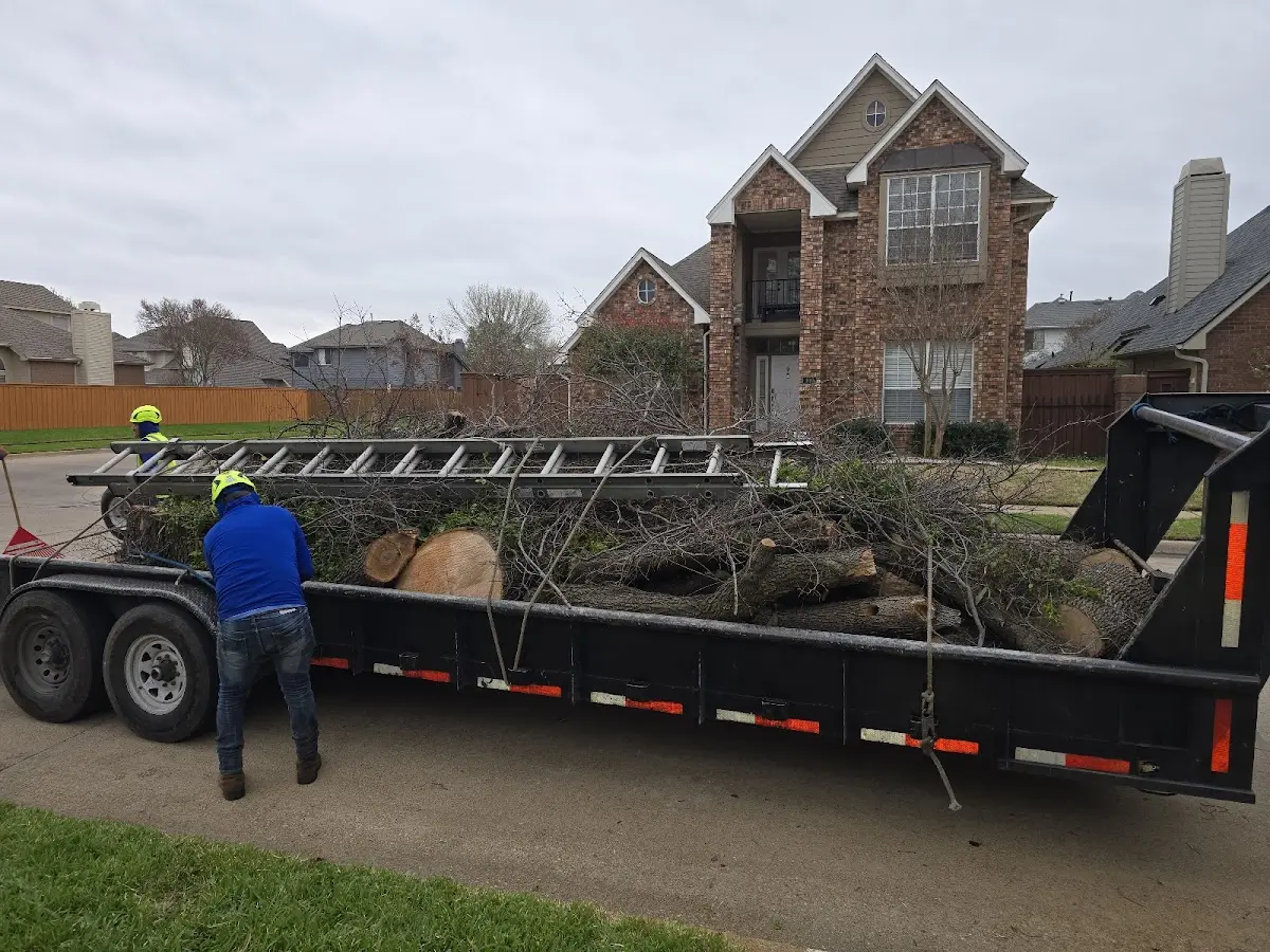 Expert Tree Fertilization with proper safety equipment in Stony Brook